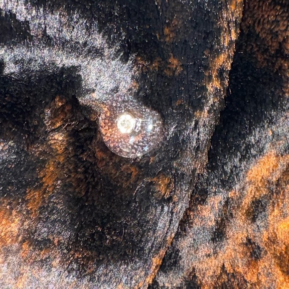 Anthropologie Tulle Black & Brown Faux Fur Collared Crop Jacket Coat - XL - Picture 8 of 12